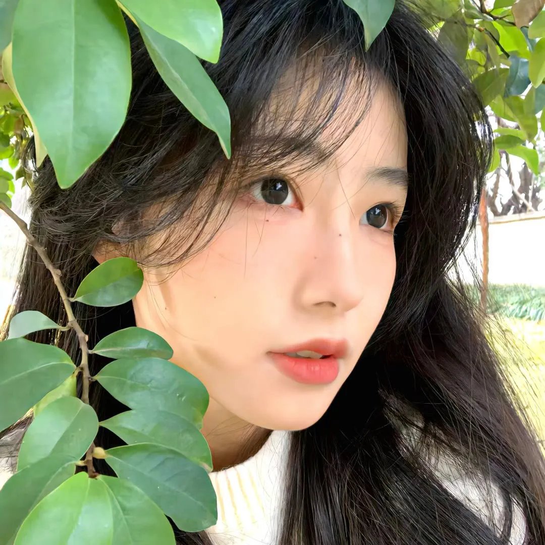 花水木